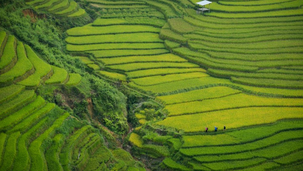 aerial photography of green mountain