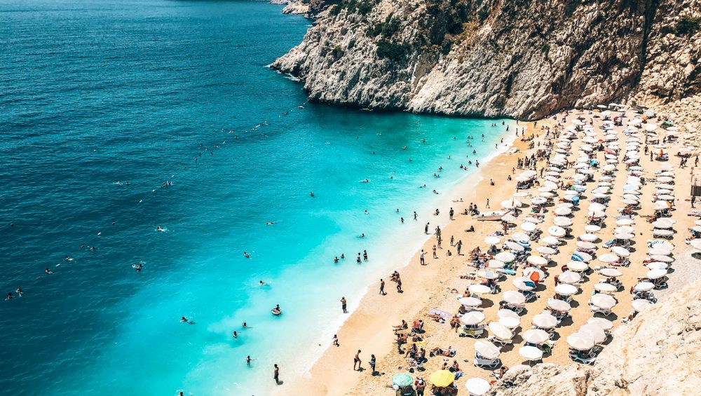 people on beach during daytime